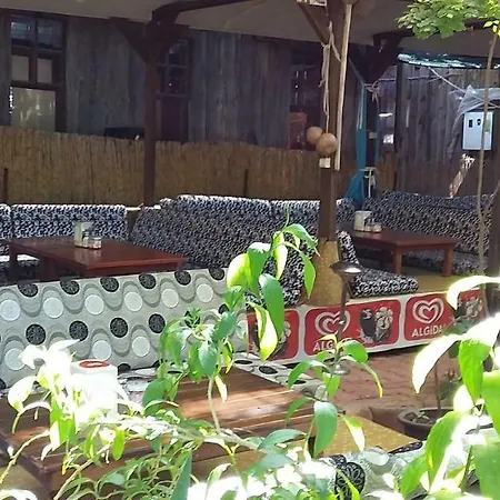 Zakkum Antalya