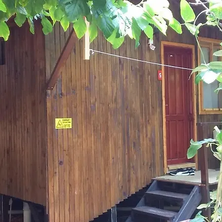 Homestay Zakkum