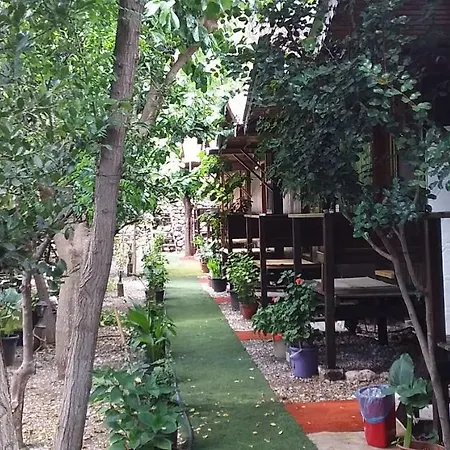 Homestay Zakkum Antalya
