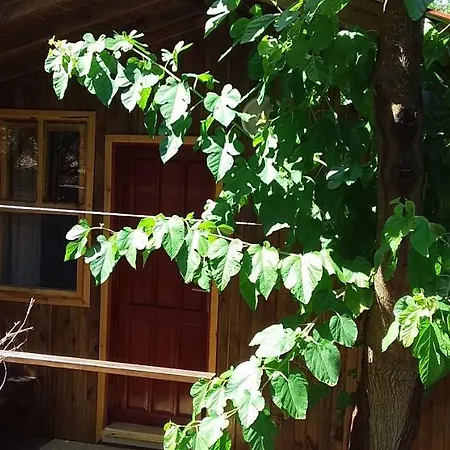 Zakkum Homestay Antalya