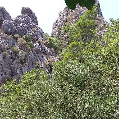 Ubytování v soukromí Zakkum Antalya