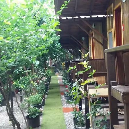 Zakkum Antalya