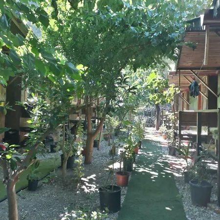 Zakkum Homestay Antalya