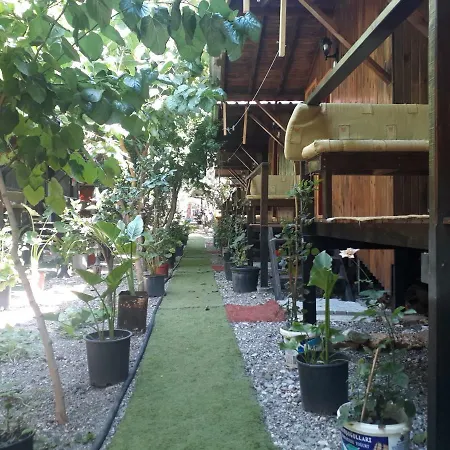 Zakkum Homestay