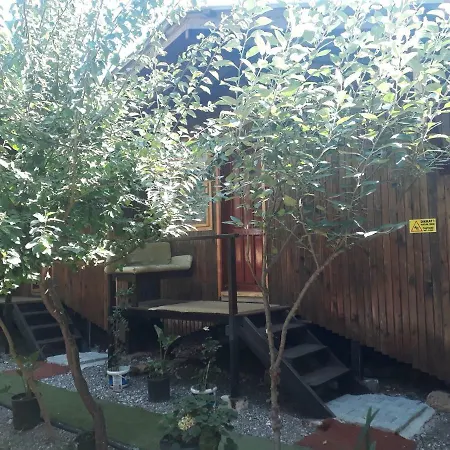 Zakkum Homestay *