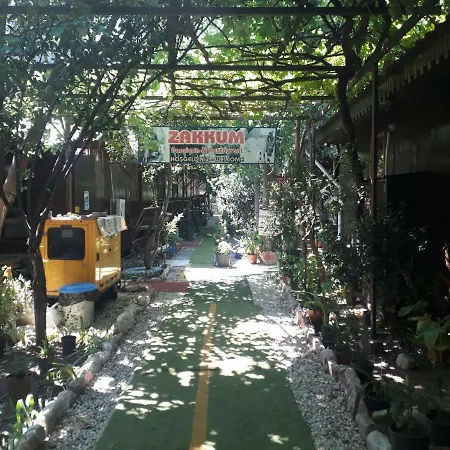 Zakkum Antalya