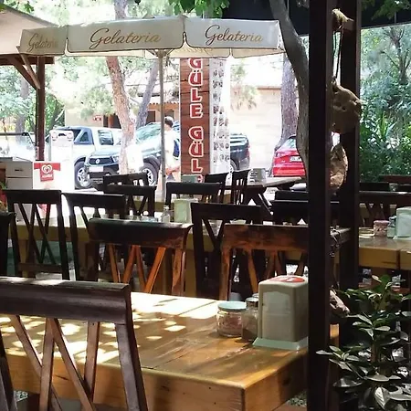Zakkum Antalya
