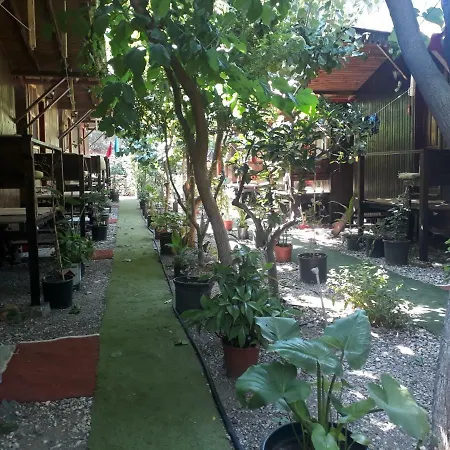 Zakkum Homestay