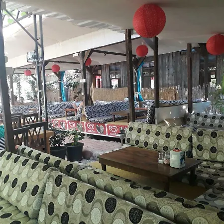 Homestay Zakkum Antalya