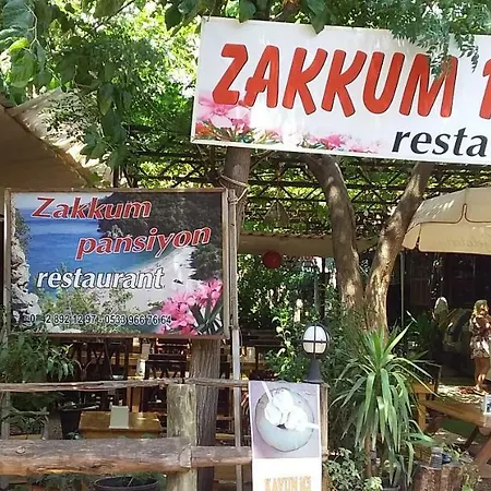 Zakkum Antália