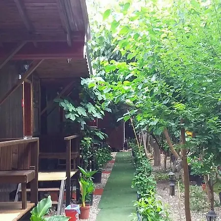 Homestay Zakkum