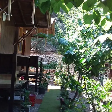 Zakkum Homestay