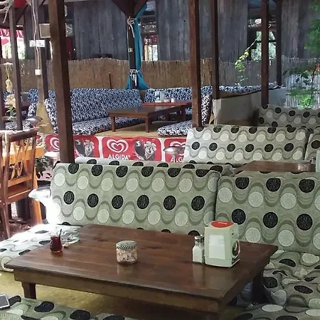 Homestay Zakkum
