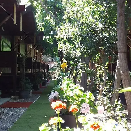 Zakkum Antalya