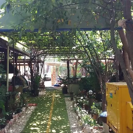 Zakkum Homestay *