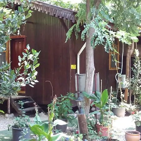 Zakkum Homestay *