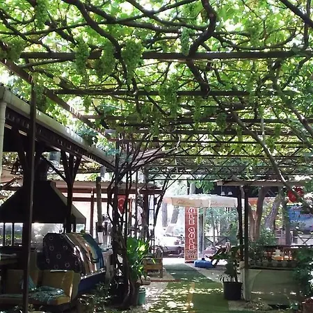 Zakkum Antalya