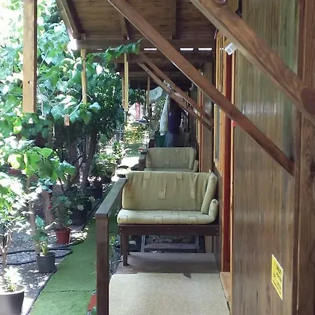 Homestay Zakkum Antalya