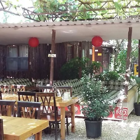 Zakkum Antalya