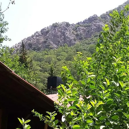 Pansiyon Zakkum Antalya